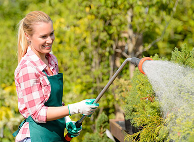 Watering Can 4